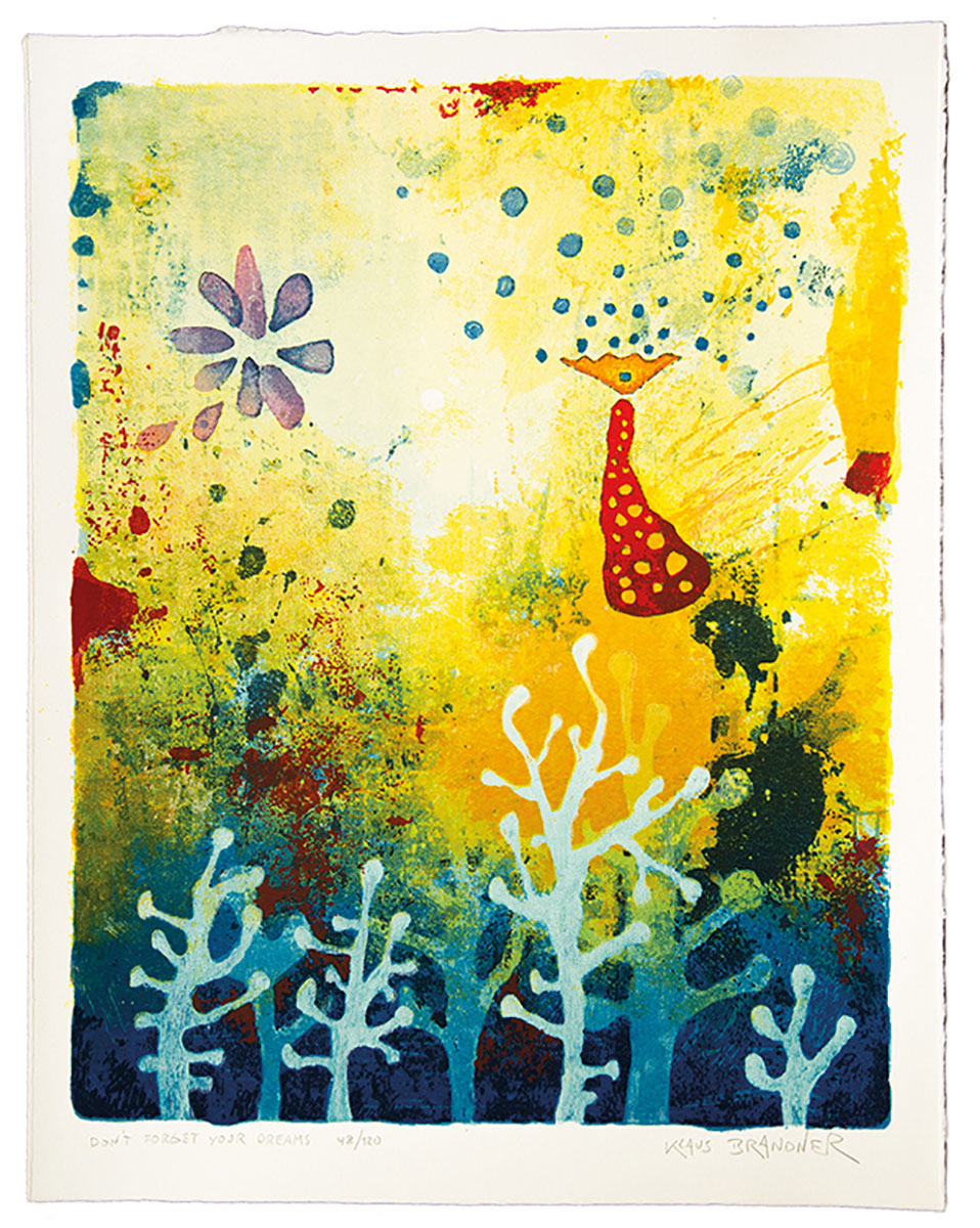 Don96;t forget your dreams  Serigrafie Größe mit Rahmen 65 x 77 cm